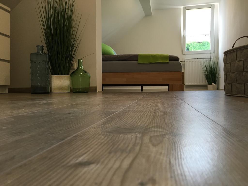 Ferienhaus Zur Mainpforte Mainz Buitenkant foto