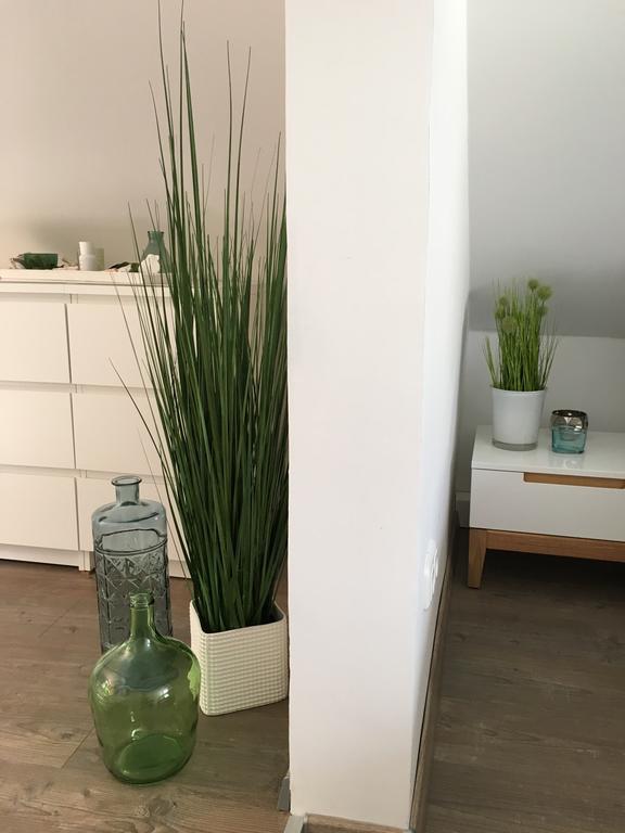 Ferienhaus Zur Mainpforte Mainz Buitenkant foto