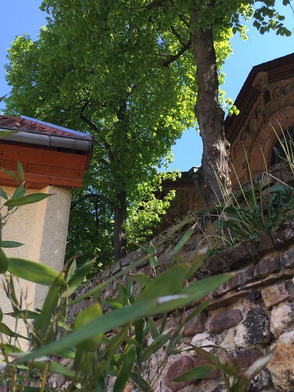 Ferienhaus Zur Mainpforte Mainz Buitenkant foto