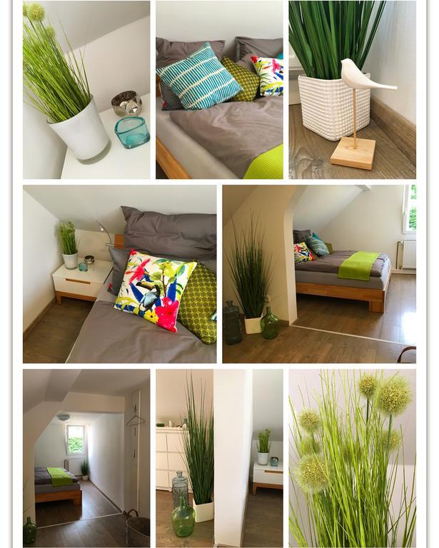 Ferienhaus Zur Mainpforte Mainz Buitenkant foto